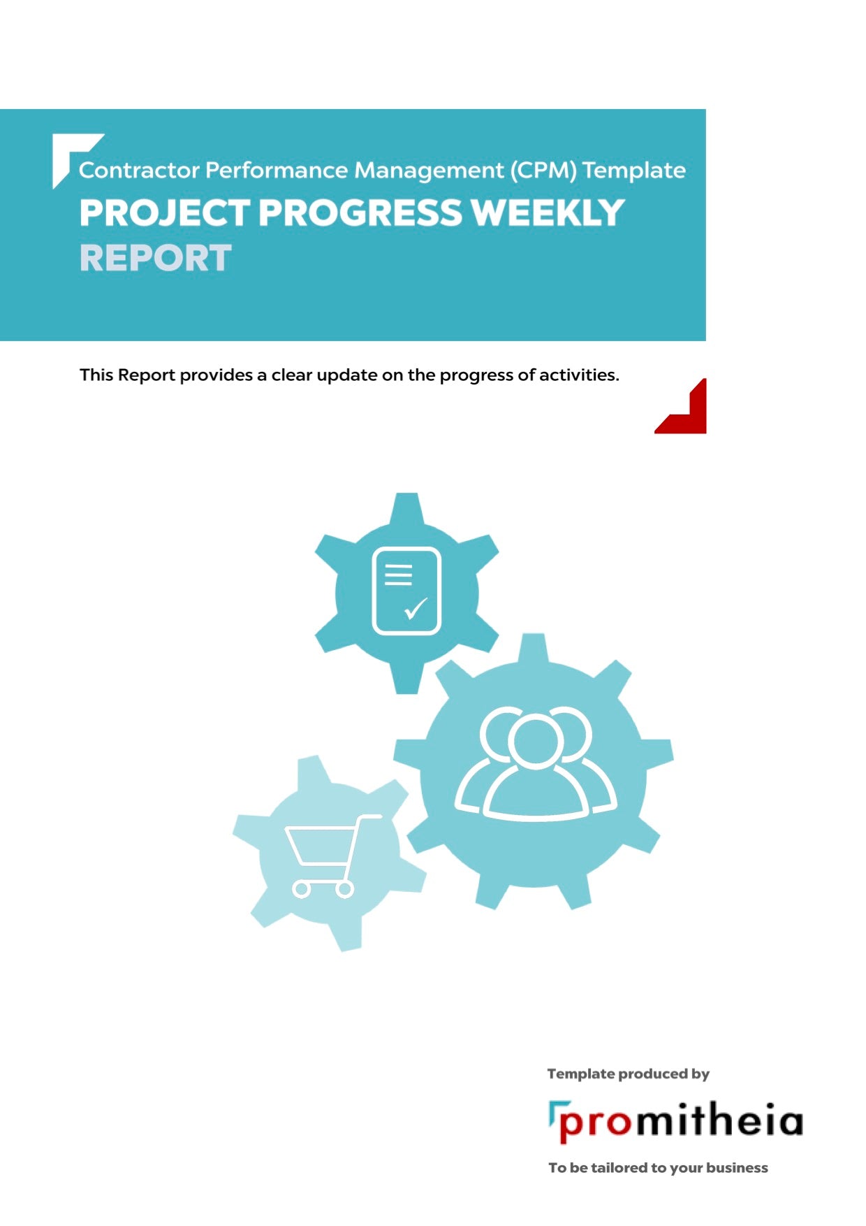 Project Weekly Report